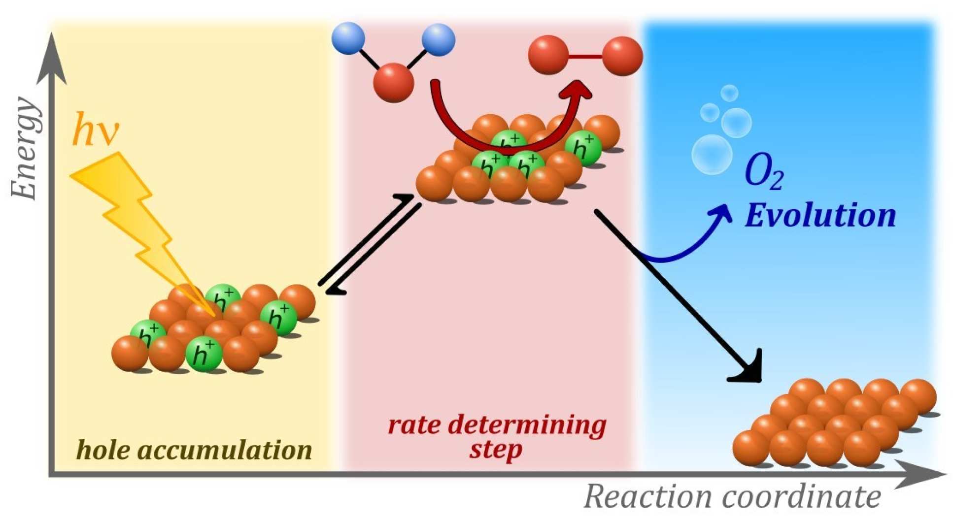 Illustration of the three stages of the water splitting mechanism of water oxidation reaction @ Camilo A. Mesa / Imperial College London
