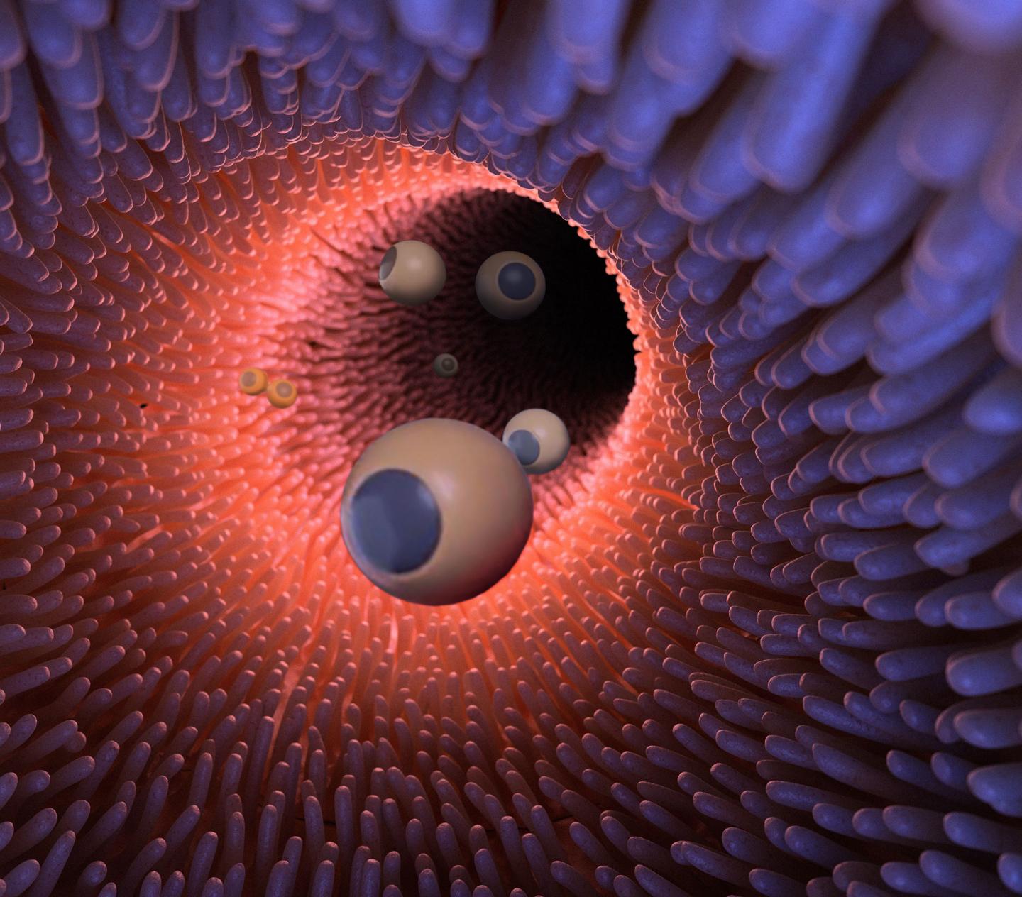 An artist's illustration of microrobots inside the gut. @ Caltech
