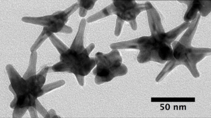 A close-up view of a handful of nanostars used to create a new type of cancer diagnostic @ Duke University