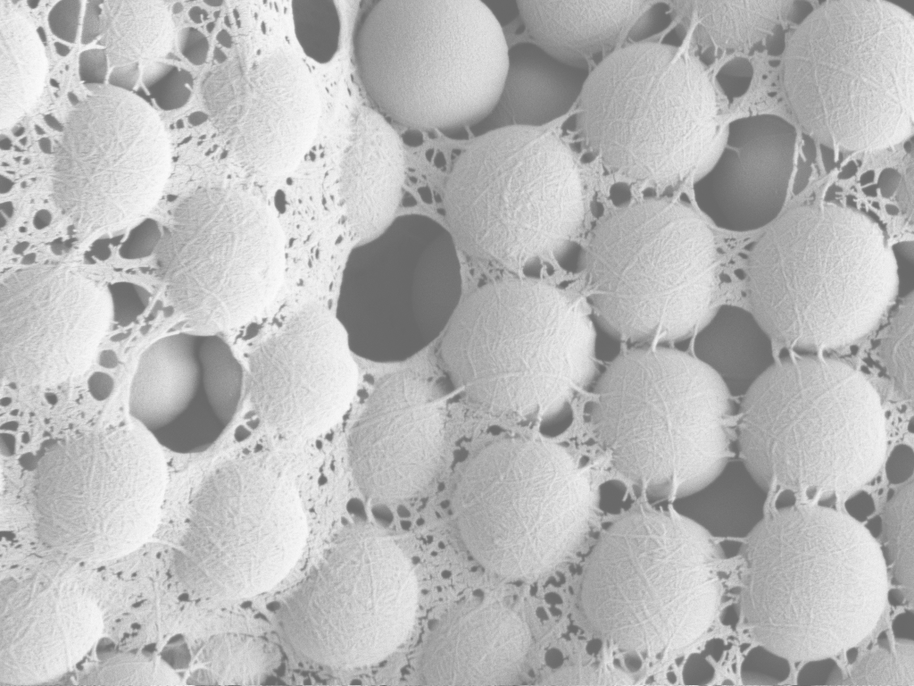 A scanning electron micrograph shows a fishnet structure formed by nanocellulose that has bound 1.15 micrometers of silica particles together. @ Bruno Mattos / Aalto University