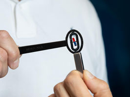 Visualizing strong magnetic fields with neutrons