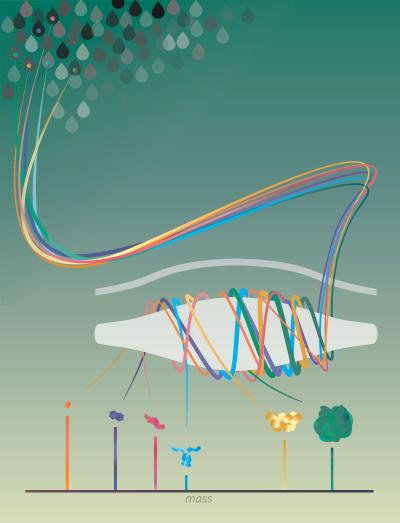 Single molecules of proteins or virus-like particles rotating around the commercially available Orbitrap analyzer to determine their exact mass. @ Northwestern University