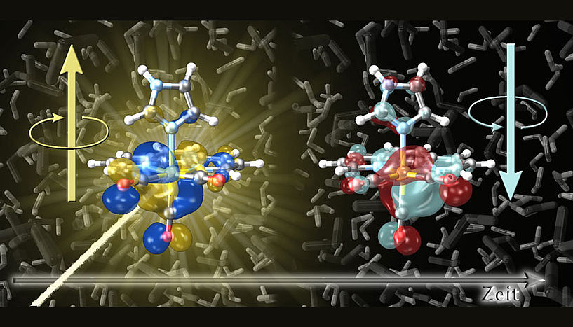 Extremely fast spin-folding processes triggered by light absorption of metal connections can be simulated with the computer. © Sebastian Mai