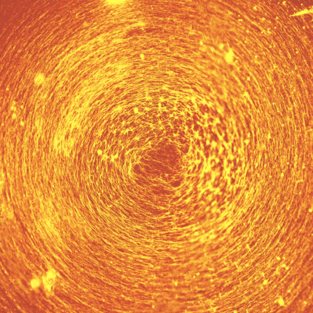 A large vortex was formed under radial strain on the substrate. @ Daisuke I. et al., ACS Nano. October 4, 2019