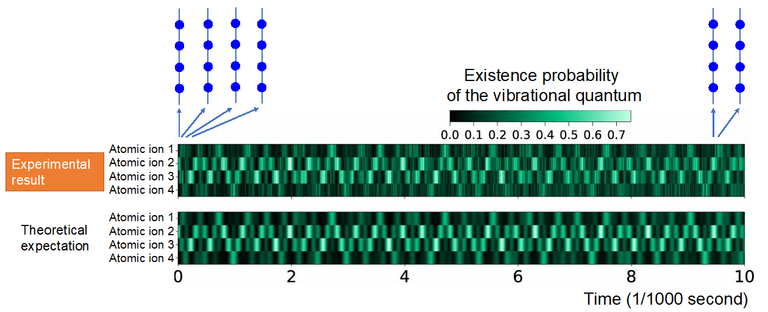 First, a phonon is prepared at the location of ion 2 with an illuminating light. The vibration propagates among the four ions because of the Coulomb interaction between them. After a certain time (which varied between 0 to 0.01 seconds), the probability of finding the phonon at each ion was measured with another beam of light. The probability shows a complex pattern, which matches precisely with theoretical expectations. @ Osaka University