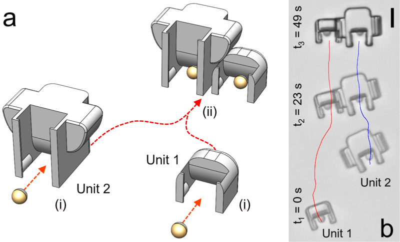 Hierarchical assembly of multiple micromachines via shape-encoded DEP interactions. (a, b) Two-step hierarchical assembly takes place by (i) the assembly of micromachine Units 1 and 2 with self-propelled Janus particles and (ii) by the lateral assembly of Unit 1 and Unit 2. Scale bar is 25 µm. @ MPI-IS