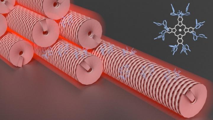 Schematic representation of the photoactive rod-like virus bundles glued together by action of the dye (top-right corner). @ Eduardo Anaya