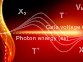 Shedding new light on nanolasers using 2D semiconductors