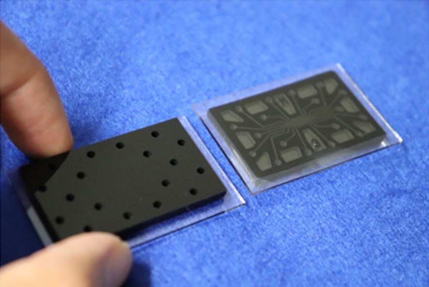 The microfluidic device to which ∼20 μL of samples containing 2 μL of serum will be applied. @ Nishiyama K. et al., Sensors and Actuators B: Chemical. April 21, 2020)