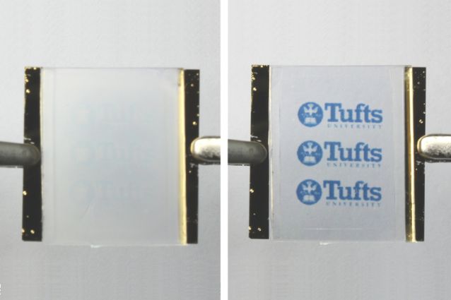 Passing a voltage across a heating element connected to the silk bilayer expands the material to smooth out any patterns (left). Cutting off voltage allows material to cool and the high resolution wrinkle pattern appears (right) @ Tufts University