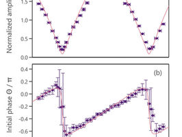 Control of quantum state of optical phonon in diamond induced by ultrashort light pulses