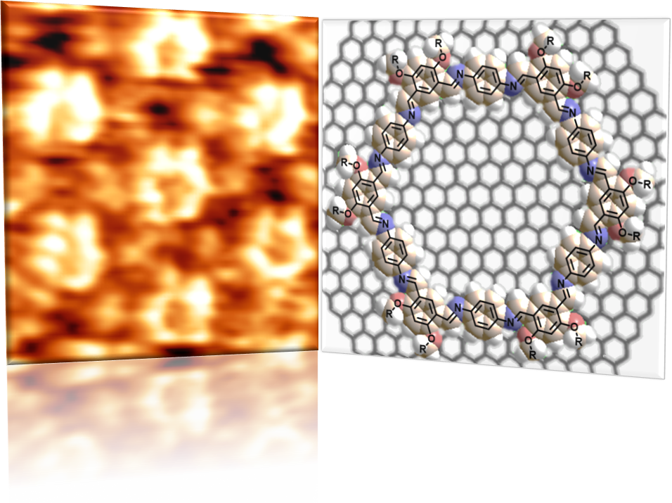 Experimental image of seven macrocycles on a graphite surface acquired through a Scanning Tunneling Microscope (Left) and a simulated macrocycle over a graphene surface (Right). @ Chaoying Fu