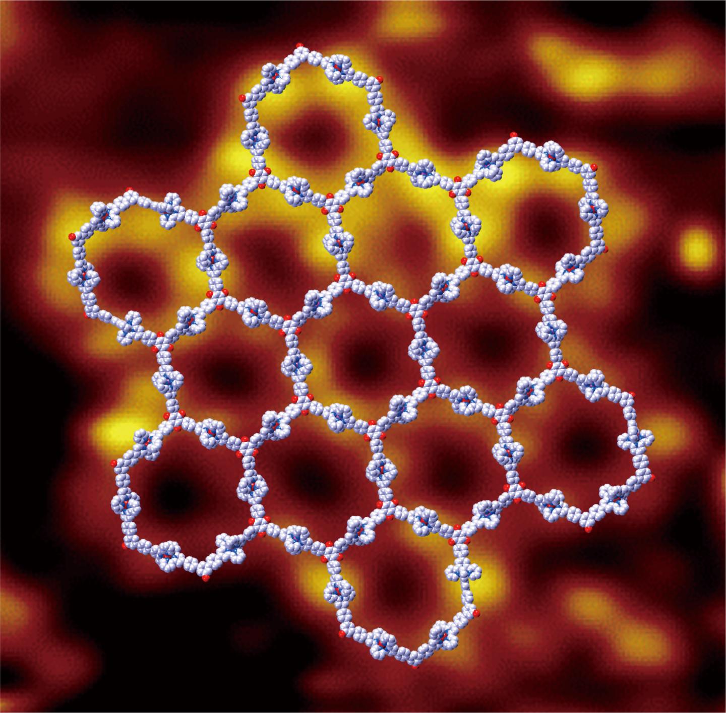 A scanning tunneling microscopy image of the USF-developed supramolecular grid with a molecular modelling overlay. @ University of South Florida