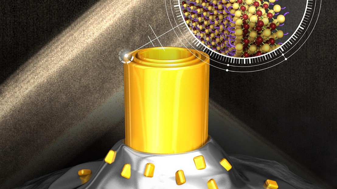 The tubes consist of several walls that are perfectly uniform and just a few atoms thick. They display optical properties that make them perfect for use as fluorophores or photocatalysts. @ EPFL