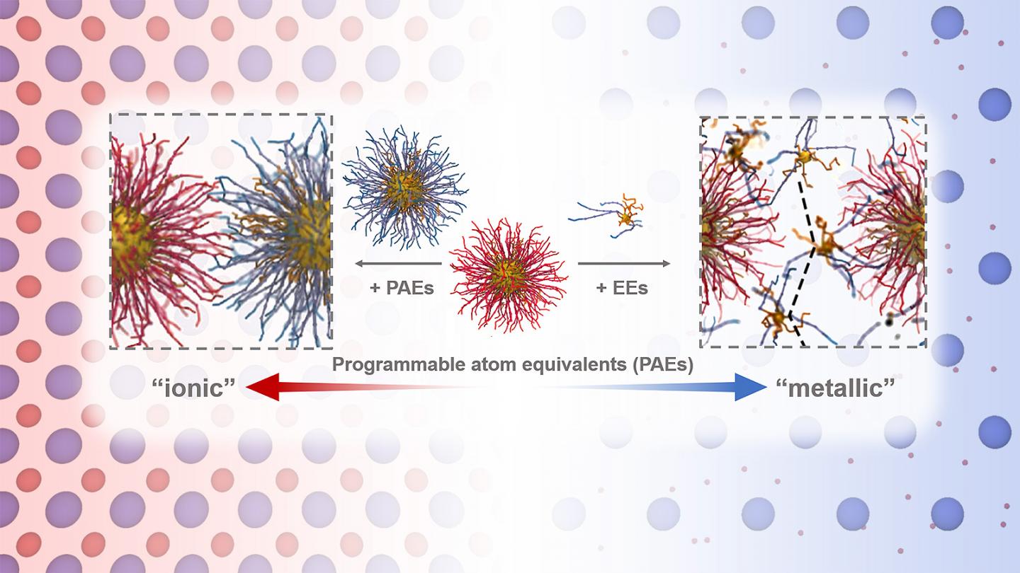 Argonne scientists have used small particles as electron equivalents to create metallic behavior in colloidal systems primarily composed of larger particles. These small particles could act as messengers, carrying information or other molecules over distances. @ Byeongdu Lee / Argonne National Laboratory