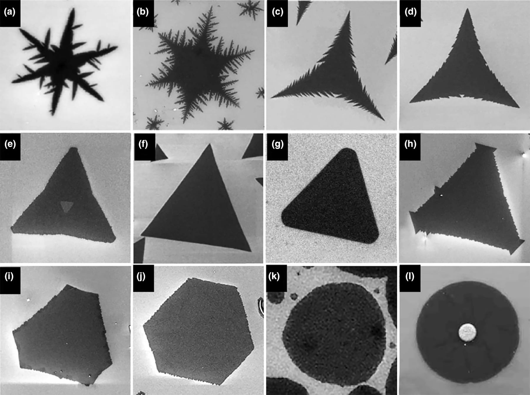 An array of crystal shapes of 2D transition metal dichalcogenides as imaged with a scanning electron microscope. @ MSNE/Rice University