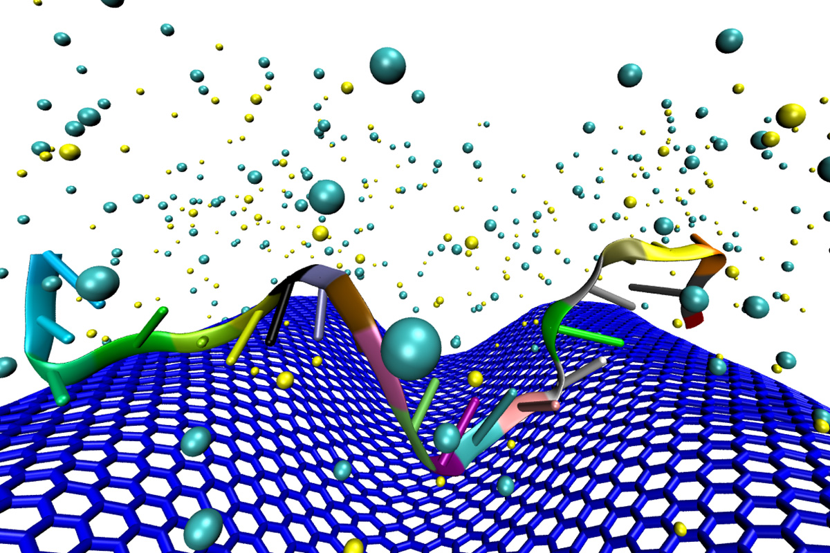 Illinois researchers found that crumpling graphene in DNA sensors made it tens of thousands of times more sensitive, making it a feasible platform for liquid biopsy. @ Mohammad Heiranian