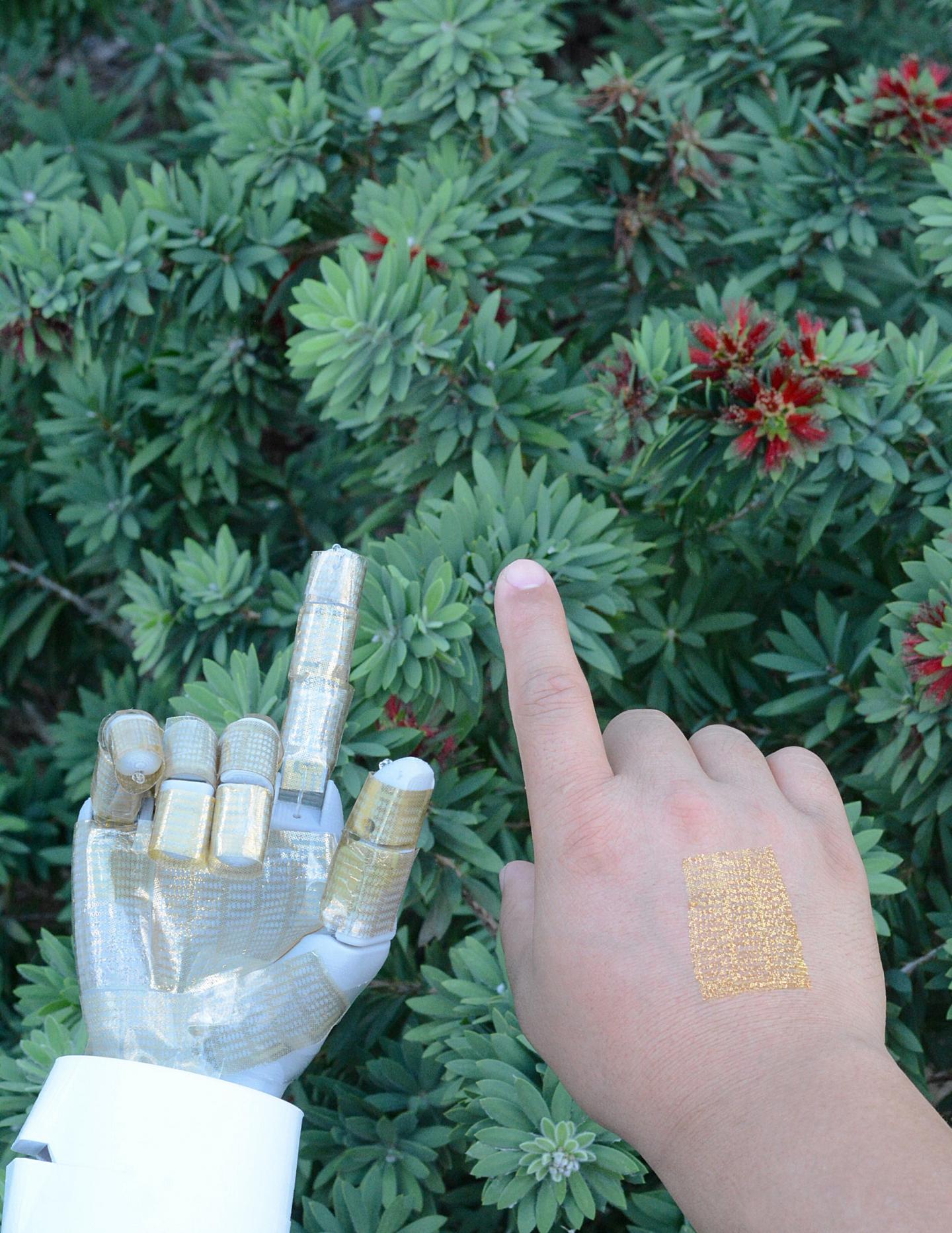 Researchers reported the discovery of a multifunctional ultra-thin wearable electronic device that is imperceptible to the wearer. It also can be used as a robotic skin. @ University of Houston