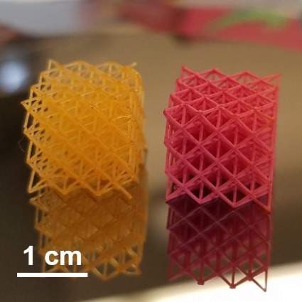A hydrogel lattice without (left) and with (right) coating. @ Jonathan P. Singer/Rutgers University-New Brunswick.