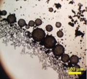 Optical microscopy images of graphene flakes G3 and G1 stabilized emulsion droplets. The spheroidal shapes of fragments of nanostructures can be observed in the work published in Advanced Materials journal @ DOI: 10.1002/adma.202000608