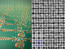Bottom-up synthesis of crystalline 2D polymers