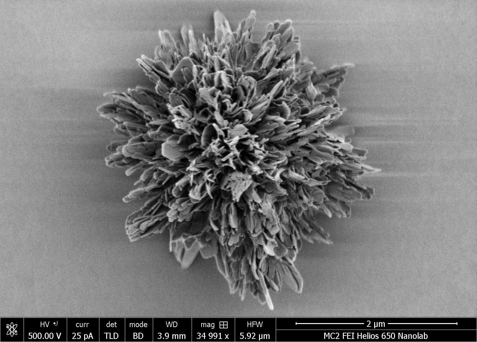 Made from curved gold-cysteine nanosheets that all twist in the same direction, the spiky nanoparticle achieved the highest complexity measured. It absorbs UV light and emits twisted light in the visible part of the spectrum. @ Wenfeng Jiang, Kotov Lab, University of Michigan.