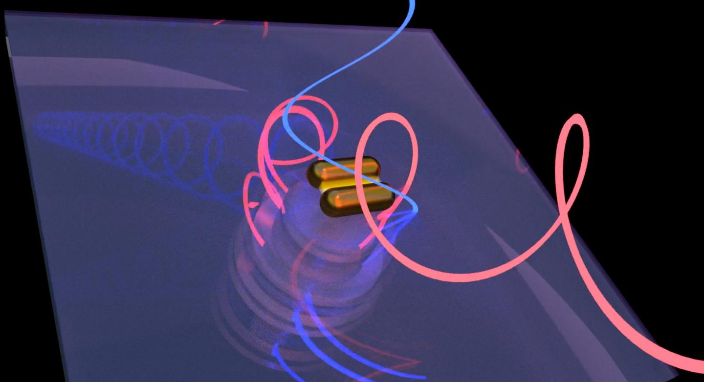 Work by scientists at Rice and Stanford universities revealed that bovine serum albumin proteins prompt gold nanorods to form right-handed chiral assemblies while producing chiral plasmonic signals to match. The phenomenon could lead to a technique that lets researchers determine the chiral purity of proteins critical to drug design. @ Rashad Baiyasi/Rice University