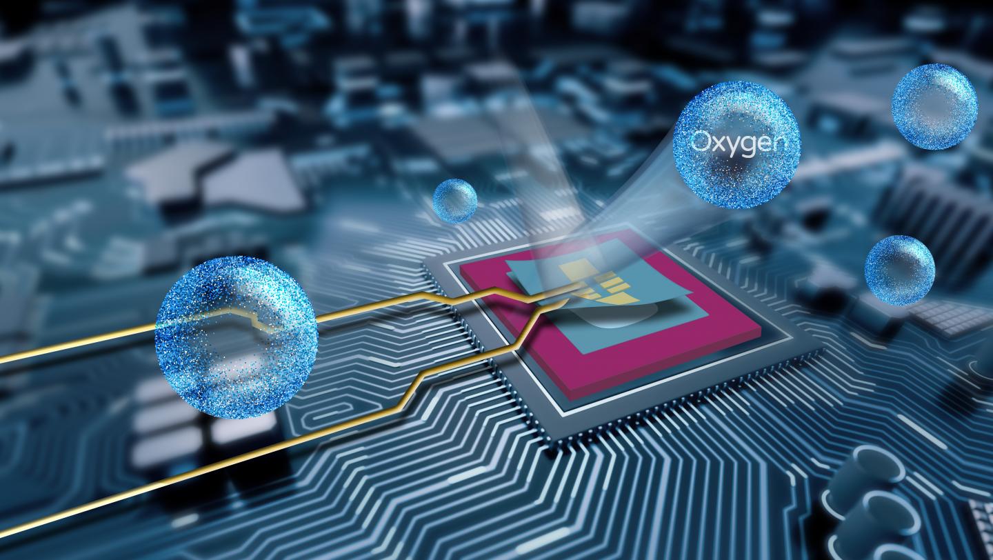 HZDR researchers have developed a new method to protect semi-conductors made of sensitive materials from contact with air and chemicals. It becomes, thus, possible to integrate these ultra-thin layers in electronic components, without impairing their performance. @ HZDR / Sahneweiß