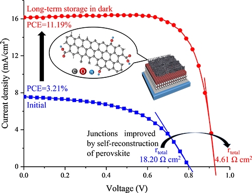 Self-recrystallization of functionalized CNT-covered perovskite The initial power conversion efficiency (PCE) soared after long-term storage because of the self-recrystallization process that perovskite undergoes when stored in the dark. Much higher conductivity and lower resistance was observed for perovskite covered with carbon nanotubes (CNTs) with oxygen-containing functional groups. @ Tokyo Tech