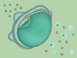 A replaceable, more efficient filter for N95 masks
