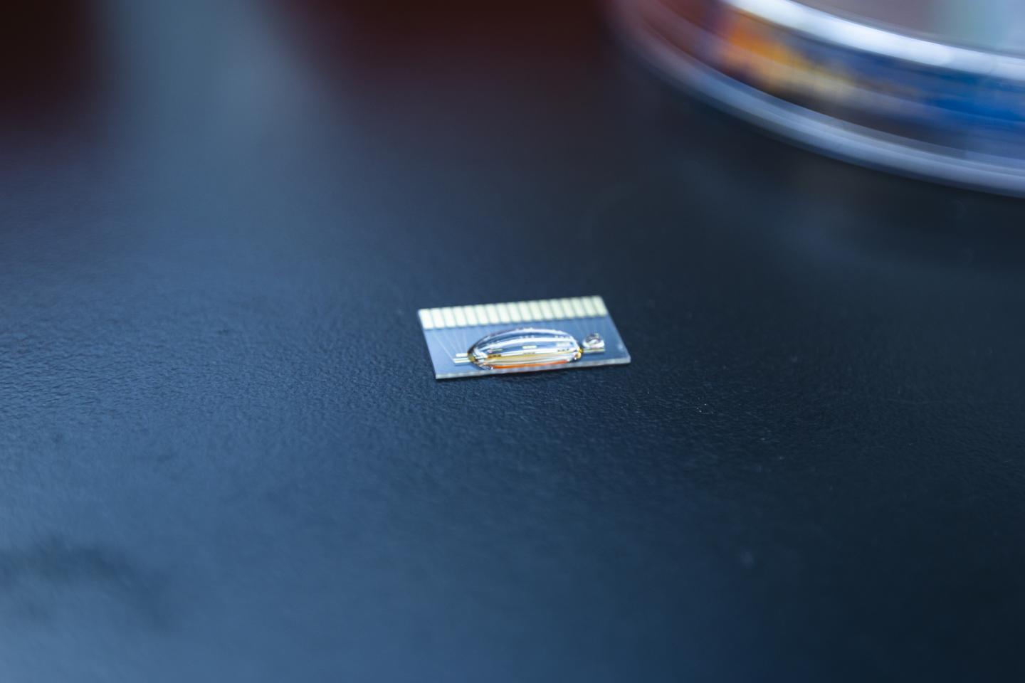 The new biohybrid system uses non-optical reporter enzymes contained within 16 microlitres of liquid which pair specifically with micropatterned electrodes hosted on a small chip no more than one inch in length. (To be visible, liquid shown here is more than 16 microlitres) @ Steve Southon