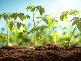 Building blocks of all life gain new understanding
