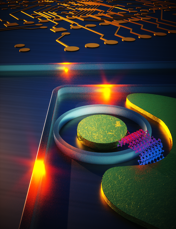 Artistic representation of a strain engineered 2D photodetector on silicon photonic circuit. @ Mario Miscuglio