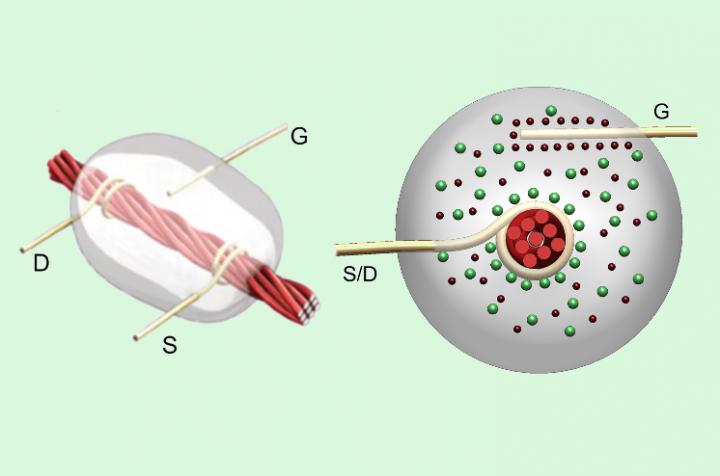 Top and cross-sectional views of thread based transistor. Source (S) and drain (D) wires are tied to carbon nanotube coated thread, dipped in an electrolytic gate gel. A gate wire is connected to the gel to trigger flow of electrons through the transistor when the gate is above a threshold voltage. @ Nano Lab, Tufts University