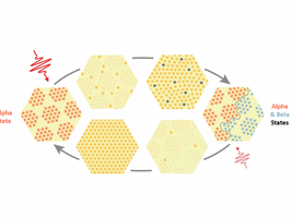Bursts of light shape walls between waves of charge