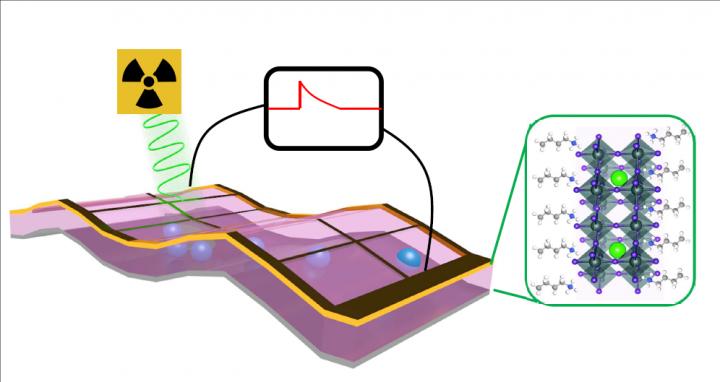 X-ray detectors made with 2-dimensional perovskite thin films convert X-ray photons to electrical signals without requiring an outside power source, and are a hundred times more sensitive than conventional detectors. @ Los Alamos National Laboratory