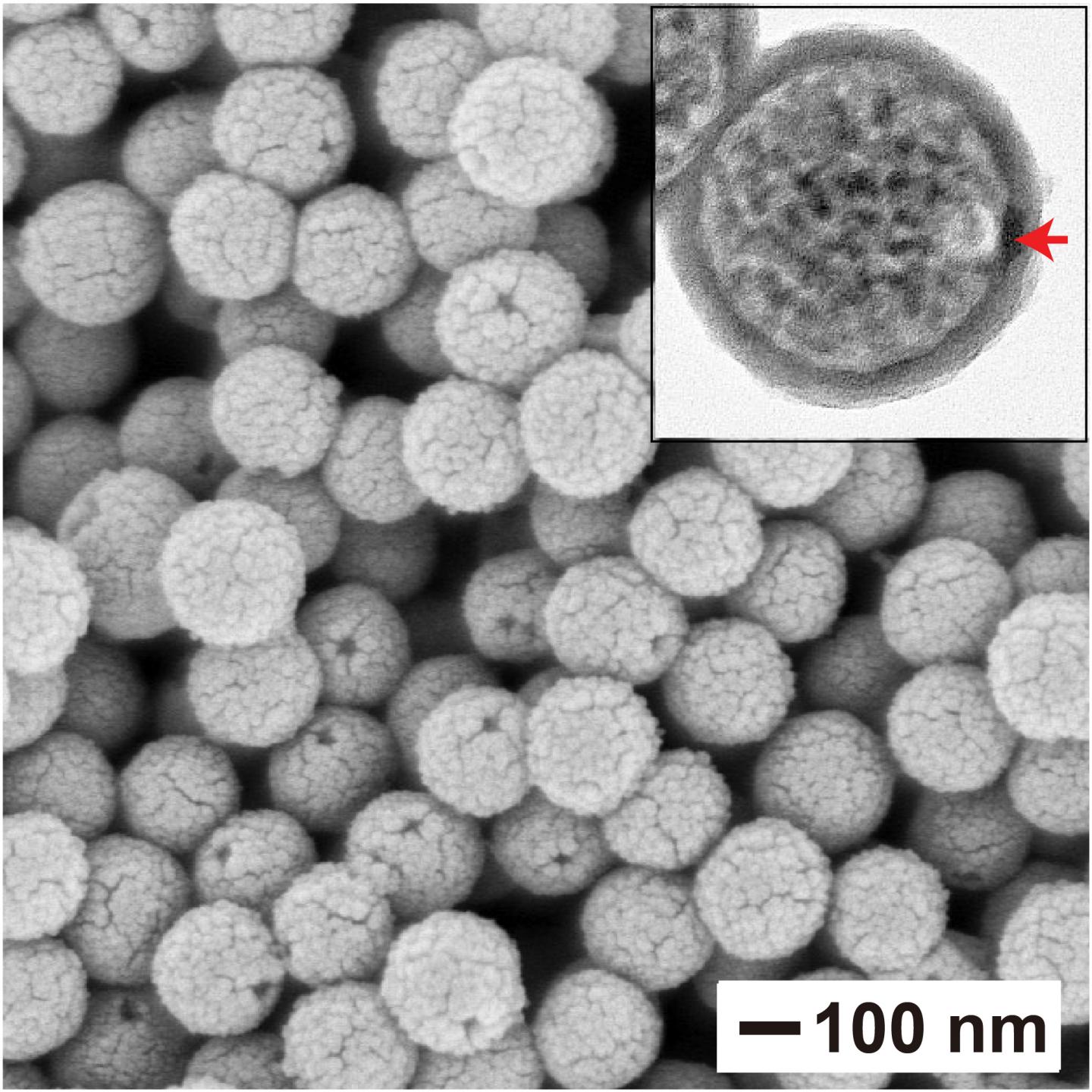 This scanning electron microscopy image shows the nanocapsules once formed after the removal of the gold nanoparticles and polystyrene beads, leaving behind an opening that can be used to fill the capsules with a payload. @ Jichuan Qiu