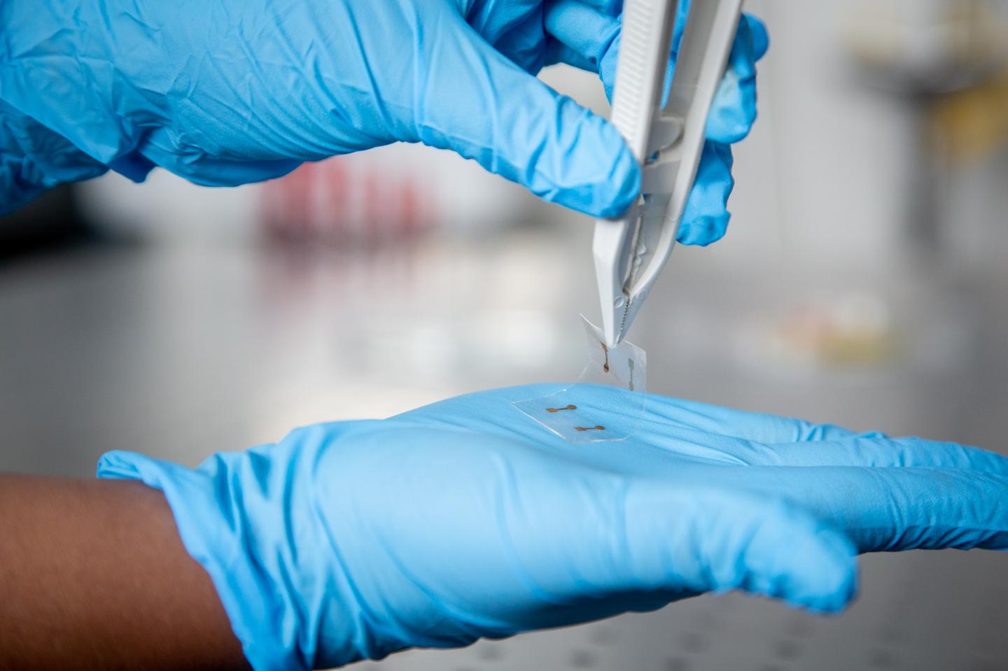 A sample of the ultra-thin and ultra-flexible electronic material that could be printed and rolled out like newspaper, for the touchscreens of the future. @ RMIT University