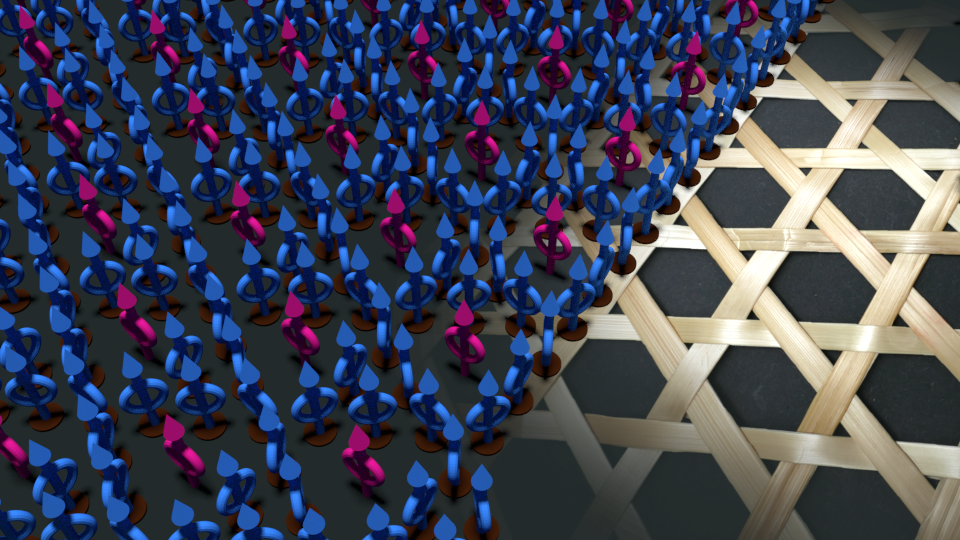 The traditional Japanese basket weaving pattern (kago-mé: basket with eyes) served as an inspiration for an array of fluxon traps produced with a helium-ion microscope in a high-temperature superconductor. The anchored fluxons are represented by blue figures (based on the symbol Φ0 for the flux quantum), the purple fluxons are trapped by their neighbors like in a cage. © Bernd Aichner, University of Vienna
