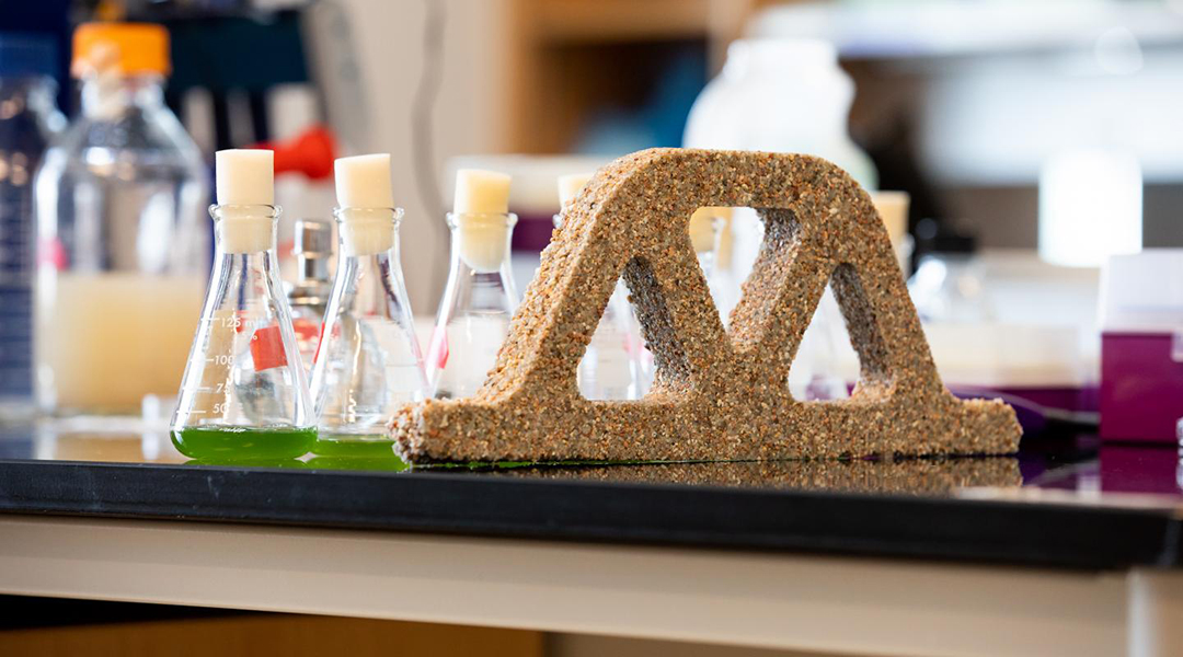 This photograph shows green photosynthetic cyanobacteria growing and mineralizing in the sand-hydrogel framework. The living material has similar strength to cement-base mortar. @ College of Engineering and Applied Science at Colorado University Boulder