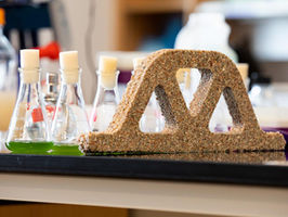 Bacteria and sand engineered into living concrete