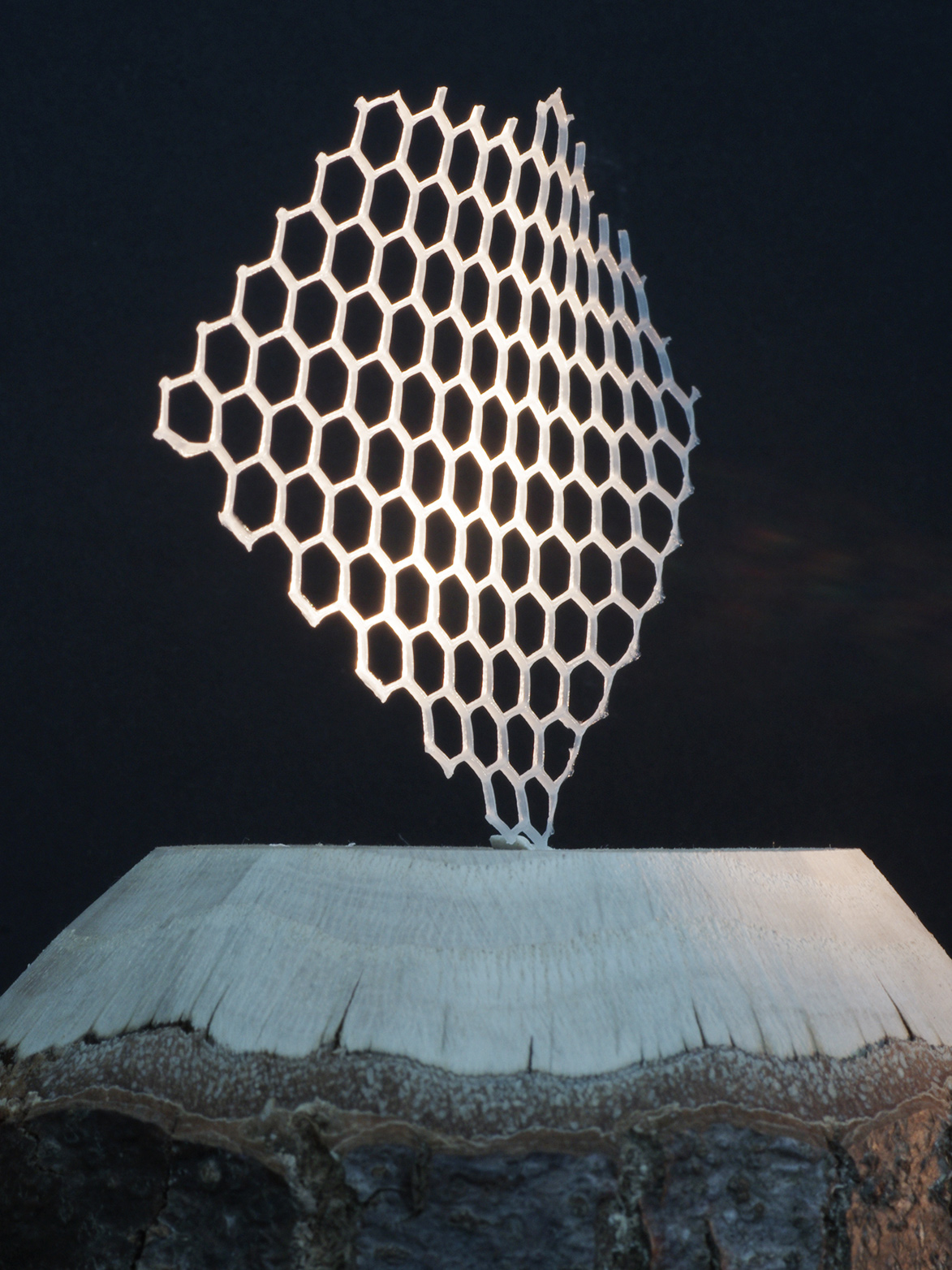 The new 3D printing technology makes it possible to print filigree and robust structures from a cellulose composite material. @ Michael Hausmann / ETH Zurich / Empa