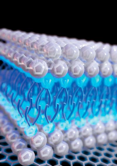 This is an illustration of detergent-like ionic liquids on an electrode surface. @ Xianwen Mao/Massachusetts Institute of Technology