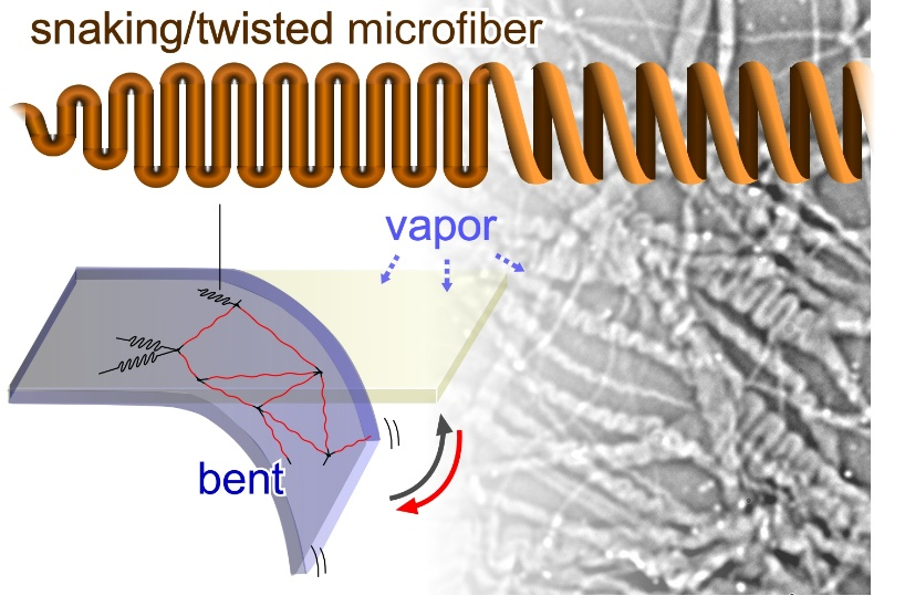Schematic illustration of the humido-sensitive film composed of a snaking/twisted fiber network. @ JAIST