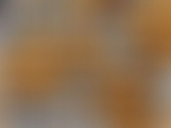 Up-close and personal with neuronal networks