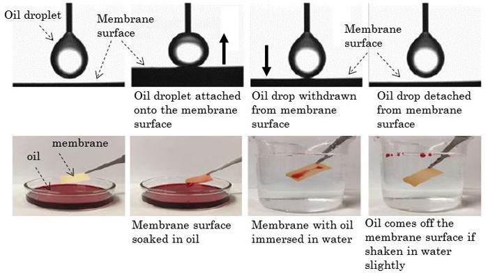 Surface dynamic adhesion and self-cleaning tests of the prepared membrane @ Kobe University