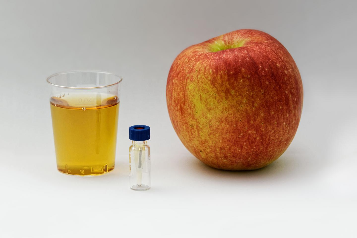 Based on ultra-high performance liquid chromatography mass spectrometry (UHPLC-MS) scientists at the Technical University of Munich (TUM) and the Leibniz-Institute for Food Systems Biology have developed a new methodology for the simultaneous analysis of odorants and tastants. It could simplify and accelerate the quality control of food in the future. @Andreas Dunkel / Leibniz-Institute for Food Systems Biology