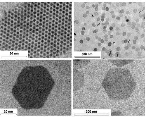 Uniformly ordered single-crystalline graphene quantum dots of various sizes synthesized through solution chemistry. @ KAIST