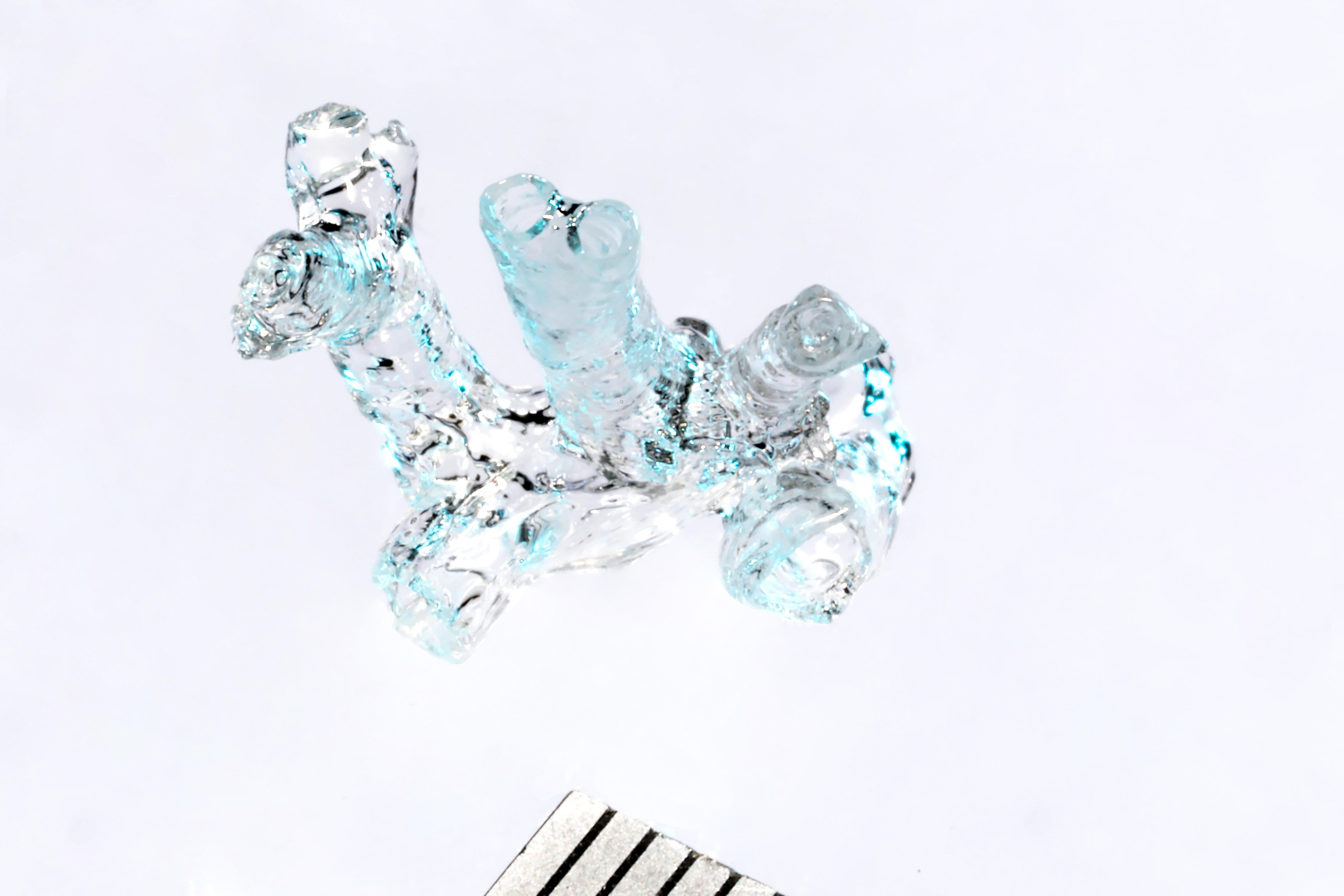 Researchers from EPFL and the University Medical Center Utrecht in the Netherlands have developed an extremely fast optical method for sculpting complex shapes in stem-cell-laden hydrogels and then vascularizing the resulting tissue. Their groundbreaking technique stands to change the field of tissue engineering. @ EPFL