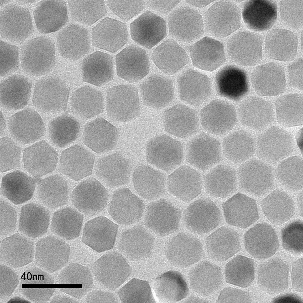 A transmission electron microscope image of zinc ferrite nanoparticles with an average diameter of 22 nanometers. This type of nanoparticle possesses high heating performance at very low magnetic fields suitable for clinical use, researchers say. @ Xiang Yu